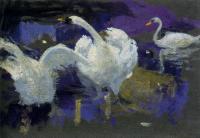 Ignacio Diaz Olano - Swans